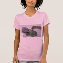 Glass meteorites (tektites) tee shirts
