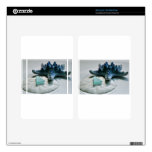 Glass on Dollar Skin For Kindle Fire