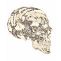 Glass Skull Reflecting Jewels shirt
