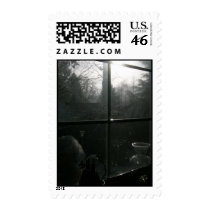 Glass  Snow and Reflection postage