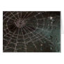 Glass Spider Web Greeting Cards