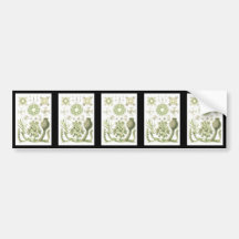 Glass sponges bumper stickers