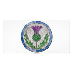 Glass Thistle Photo Card Template