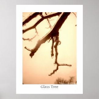 Glass Tree print