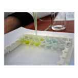 Glass vessels with colorful solutions post cards