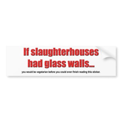 Glass Walls Bumper Sticker by DareToWish