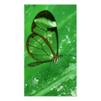 Glass wing profilecard