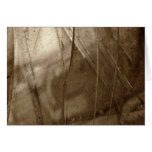 Glasseater Freak Scene Greeting Cards