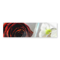 Glassed Flower II Bumper Stickers
