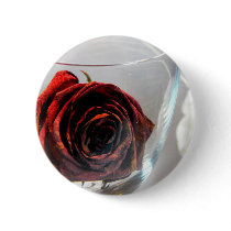 Glassed Flower II Pinback Button