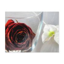 Glassed Flower II Postcard