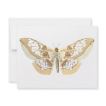 GlassWing Butterfly Personalized Announcements