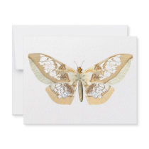 GlassWing Butterfly Personalized Announcements