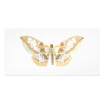 GlassWing Butterfly Custom Photo Card