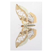 GlassWing Butterfly Personalized Stationery