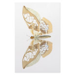 GlassWing Butterfly Personalized Stationery