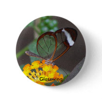 Glasswing buttons by jdmphotography Glasswing buttons