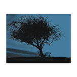 Glastonbury Hawthorn. Black and Blue. Tree. postcards