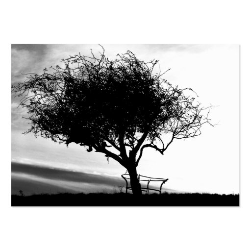 Glastonbury Hawthorn. Tree. Black and White. Business Card (back side)