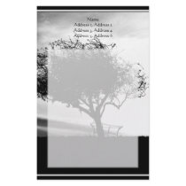 Glastonbury Hawthorn. Tree. Black and White. Customized Stationery