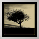 Glastonbury Hawthorn. Tree on Hill. Sepia Color. Poster