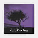 Glastonbury Hawthorn. Tree on Hill. Violet, Black. Magnets