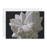 Glauberite, psuedomorph after calcite custom announcements