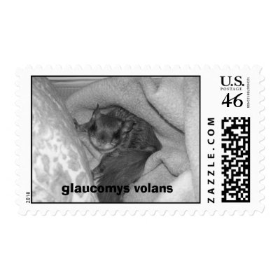 Glaucomys Volans Postage Stamp by jaruvdirt
