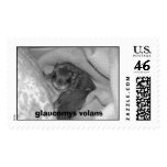 Glaucomys Volans Postage Stamp