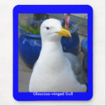 Glaucous-winged Gull mouse pad mousepads
