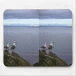 Glaucous-winged Gulls Mousepad