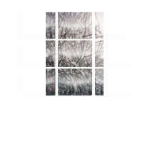 Glazed_01 T-Shirt