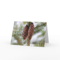 Glazed Cones cards