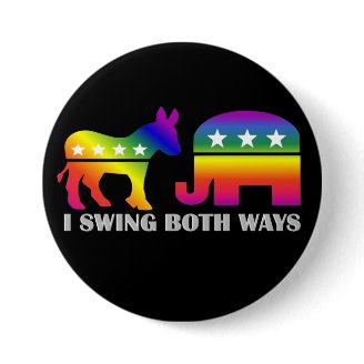 GLBT Democrat/Republican Swing Voter Pins