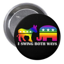 GLBT Democrat/Republican Swing Voter Pins
