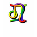 GLBT Gemini & Leo t-shirts
