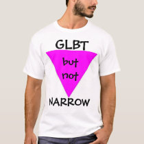 glbt's support all familes regardless of orientati t-shirts