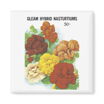 Gleam Hybrid Nasturtiums Seed Packet magnets by vintagegiftmall Gleam Hybrid Nasturtiums Seed Packet magnets