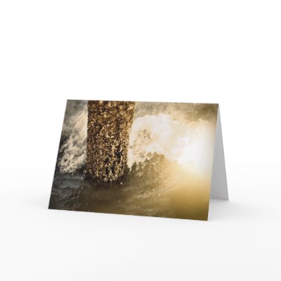 Glee! The great storm is over! Greeting Card by mhartford