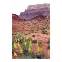 Glen Canyon Spring posters