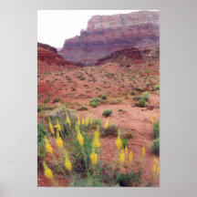 Glen Canyon Spring Posters
