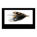 Glen Grant Salmon Fly Poster