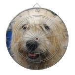 glen-of-imaal-terrier-7.jpg dartboard with darts