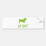 Glen of Imaal Terrier Bumper Sticker