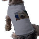 Glen of Imaal Terrier Pet Shirt