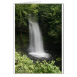 Glencar Waterfall, Co. Leitrim cards