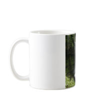 Glencar Waterfall, Co. Leitrim Mug
