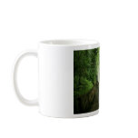 Glencar waterfall coffee mugs