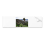 Glendale atop the Verdugo Mountain Range bumper stickers