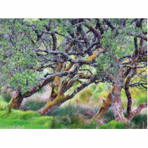 Glengesh Pass In Ireland Old Tree photo sculptures by lifesphere Glengesh Pass In Ireland Old Tree photo sculptures